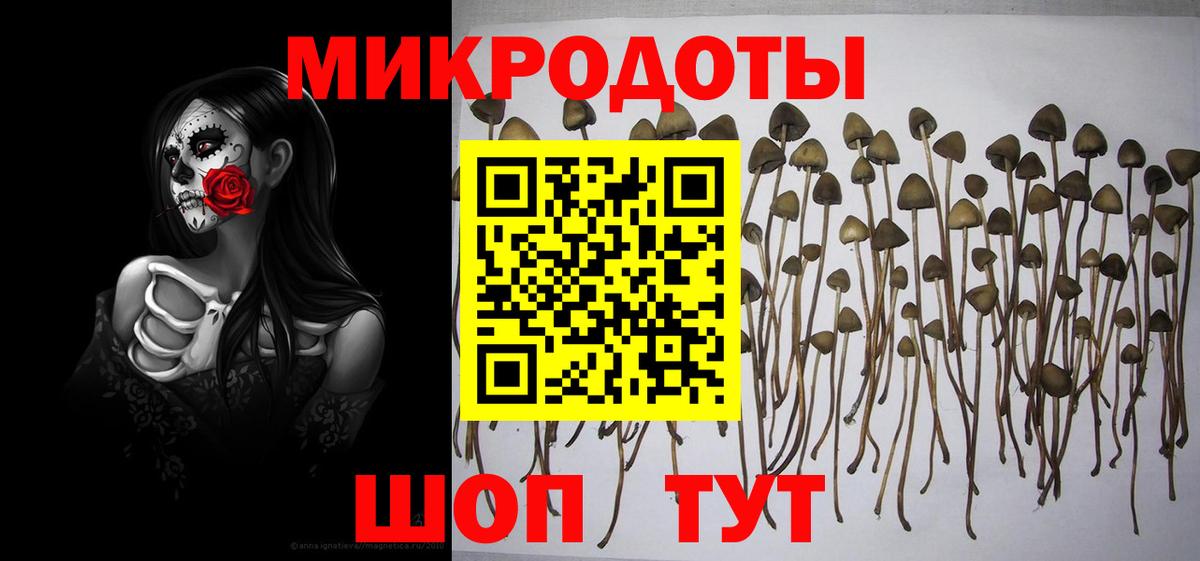Миллерово  Псилоцибиновые грибы ЛСД  где можно купить   Вход с VPN  Галлюциногенные грибы мухоморы 